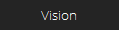 Vision
